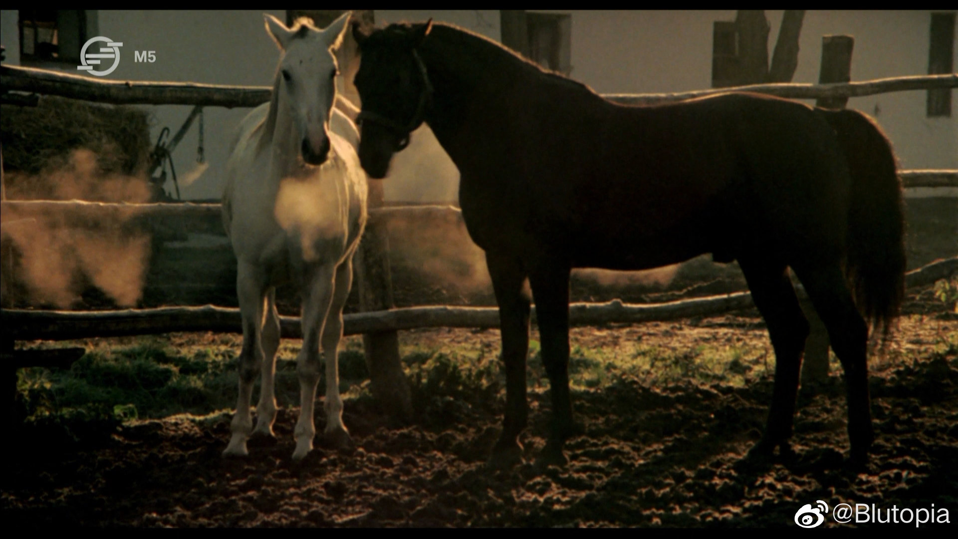 马场剧照的剧照