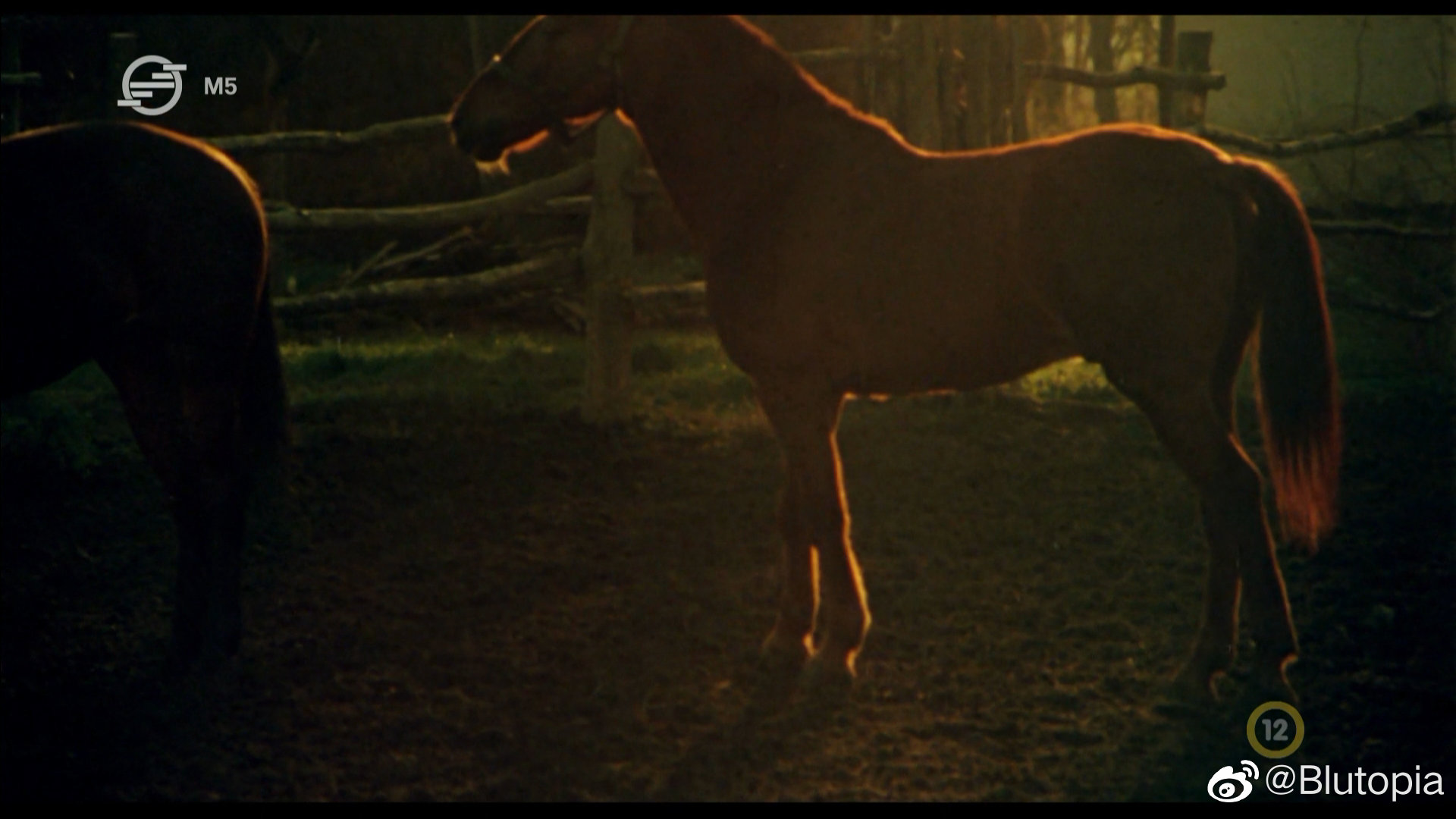 马场剧照的剧照