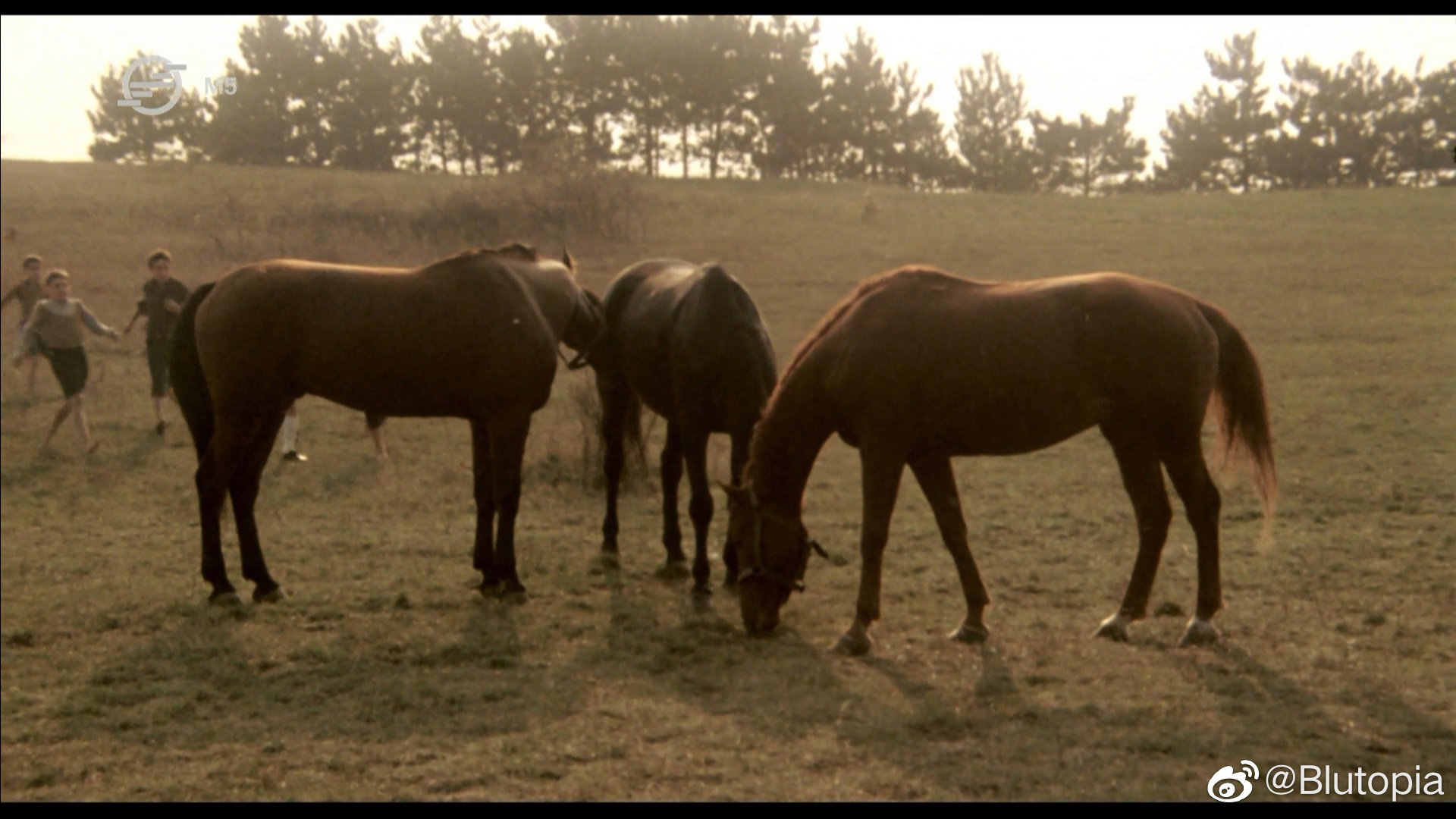 马场剧照的剧照