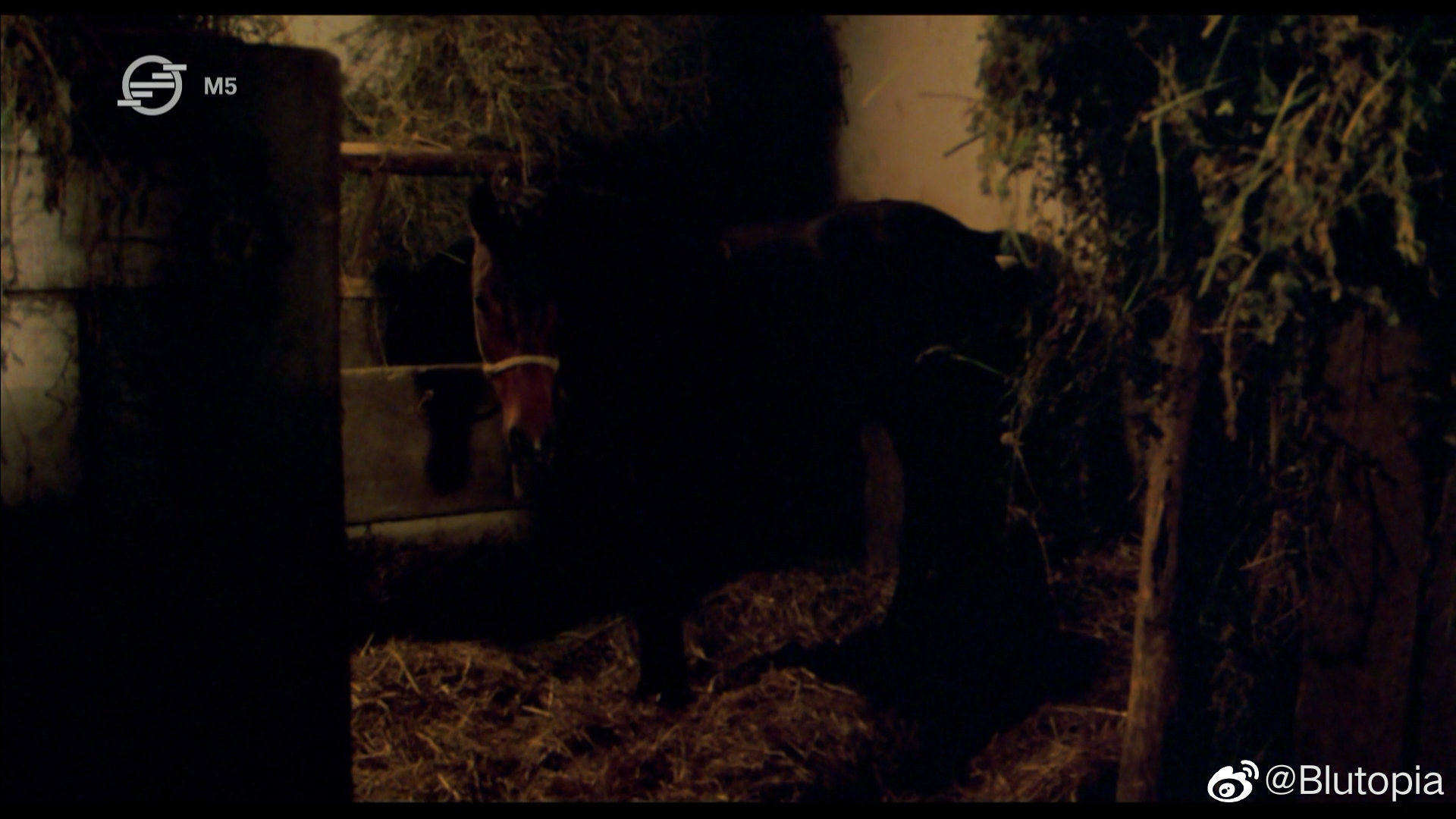 马场剧照的剧照