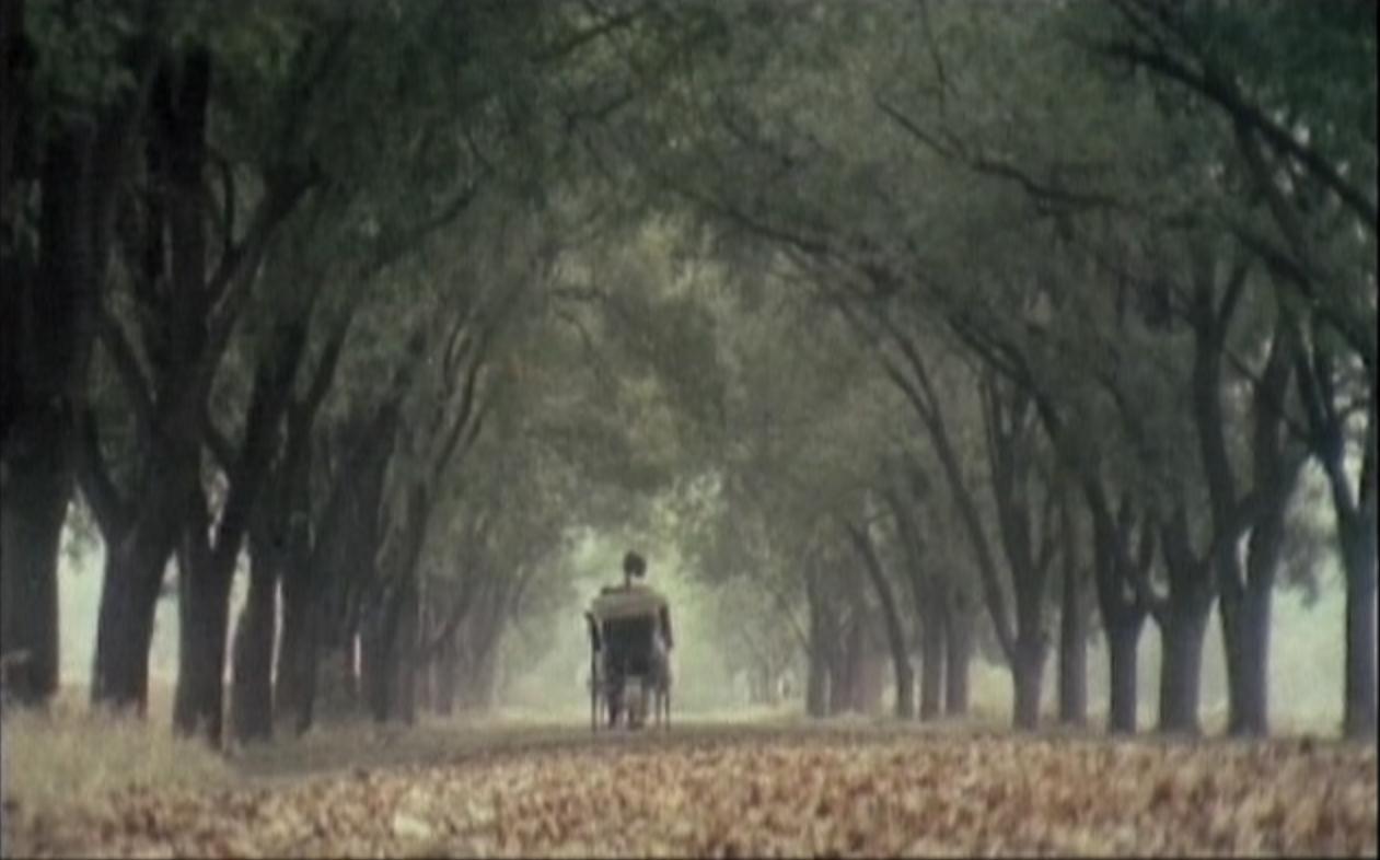 月牙儿剧照的剧照