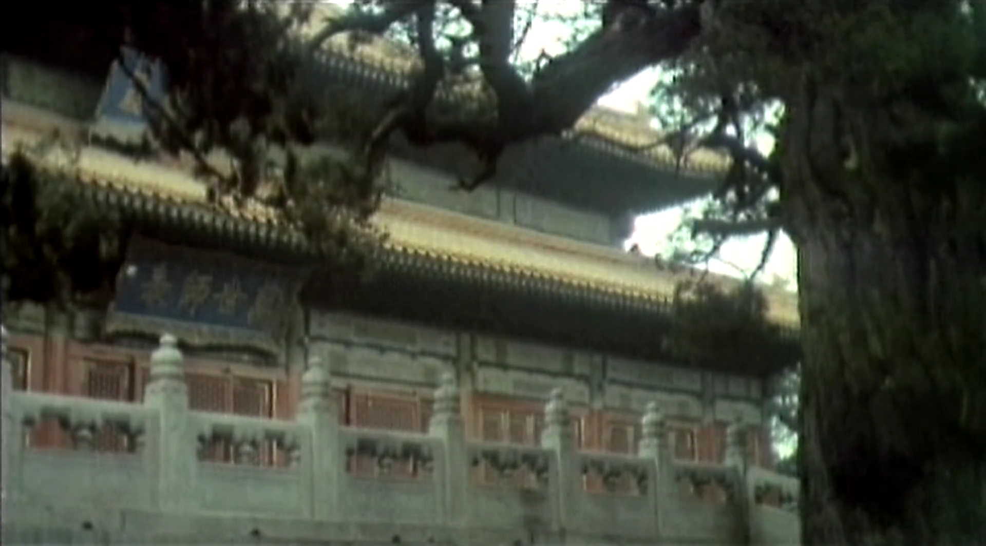 月牙儿剧照的剧照