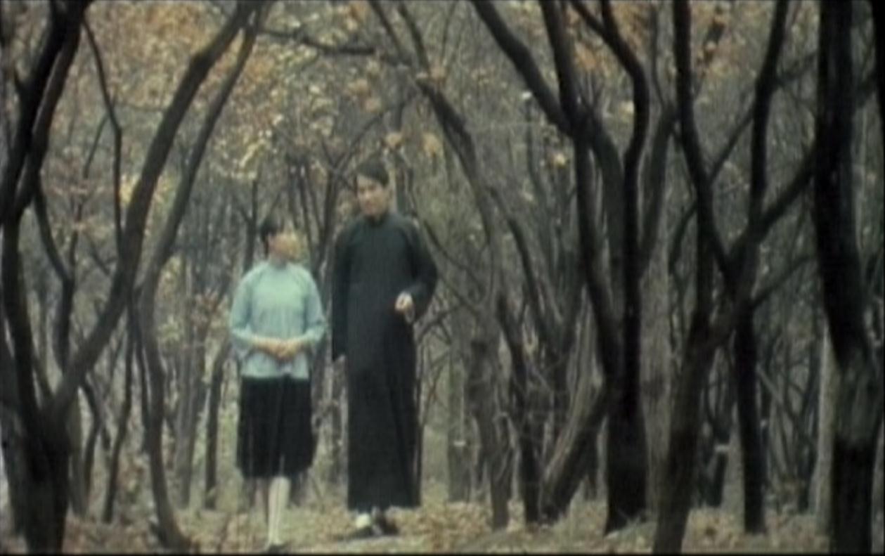 月牙儿剧照的剧照