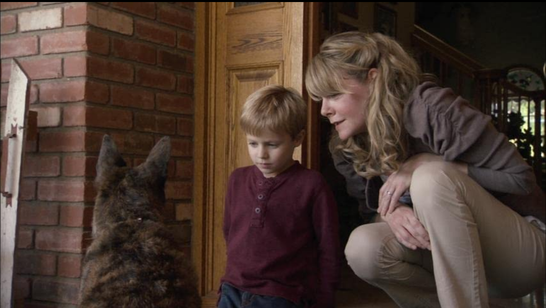 家有魔犬剧照的剧照