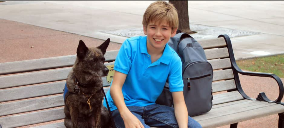 家有魔犬剧照的剧照