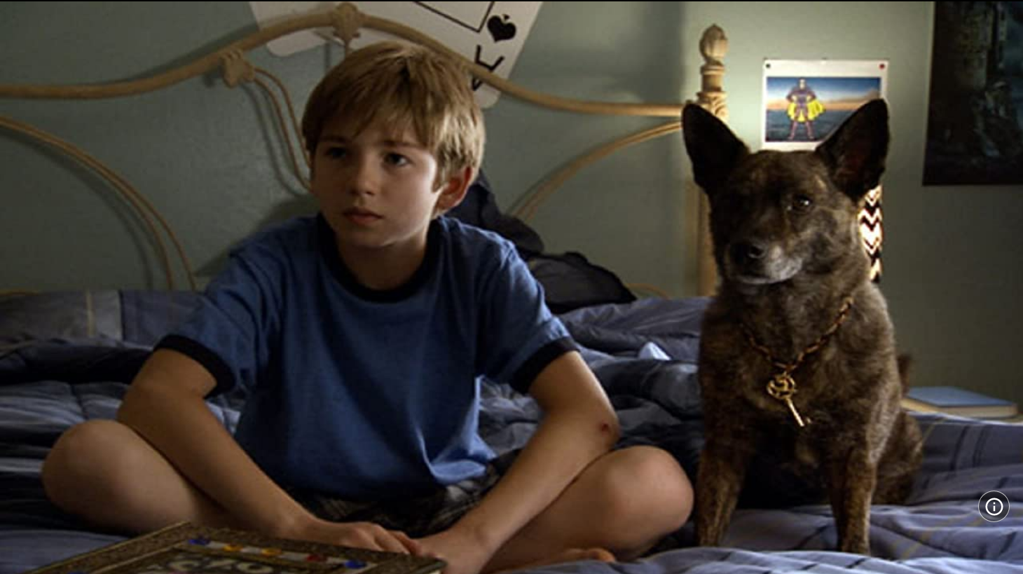 家有魔犬剧照的剧照