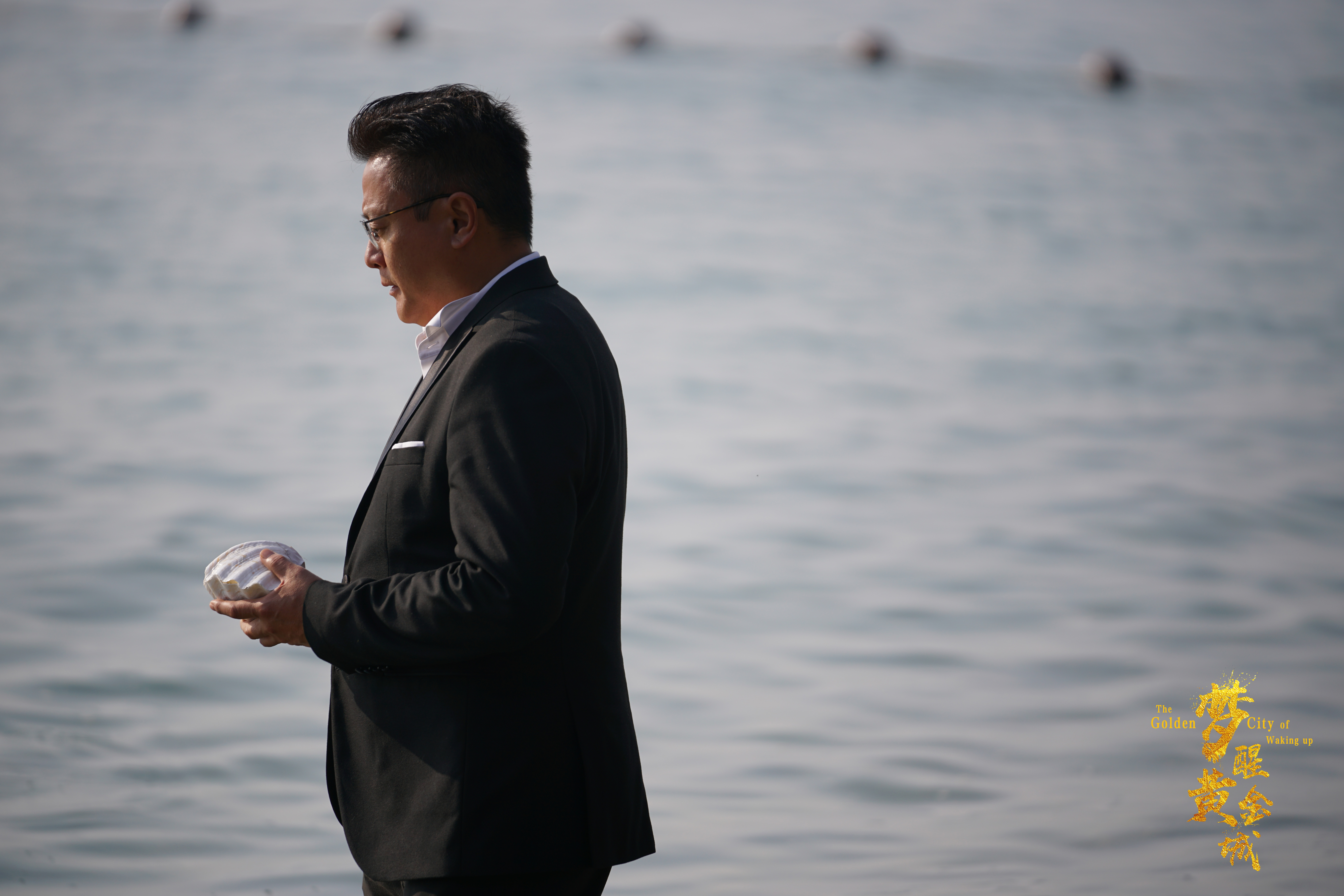 梦醒黄金城剧照的剧照