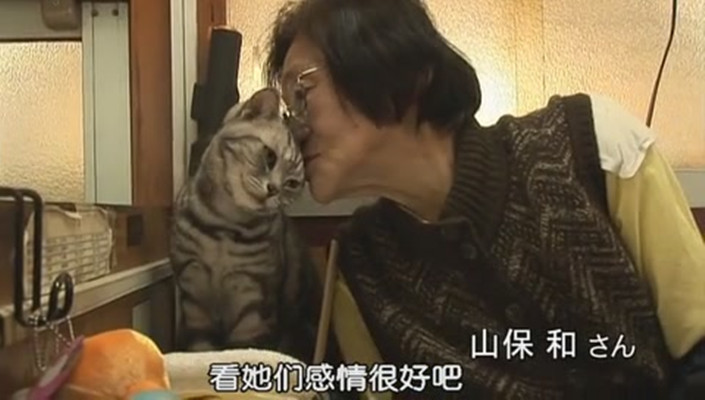 猫咪物语剧照的剧照