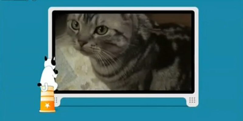 猫咪物语剧照的剧照