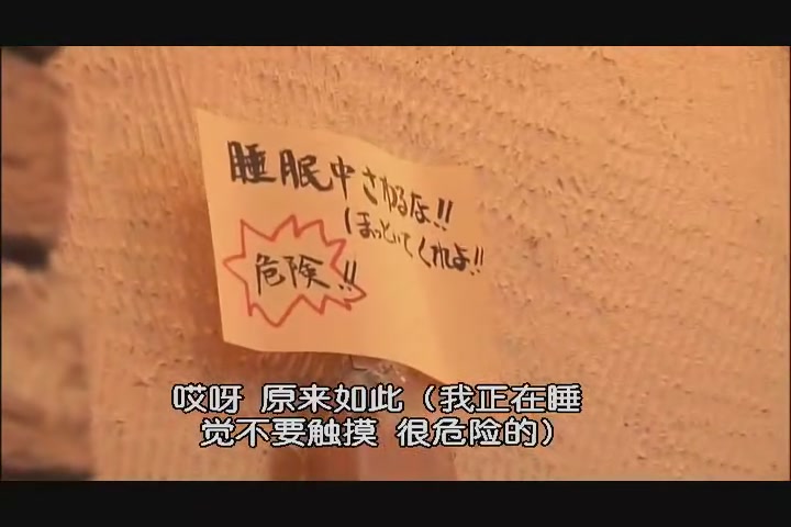 猫咪物语剧照的剧照