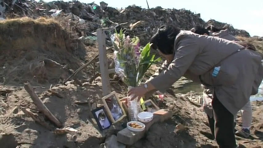 猫咪物语5剧照的剧照