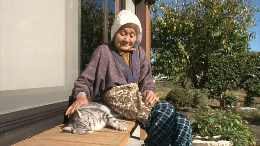 猫咪物语5剧照的剧照