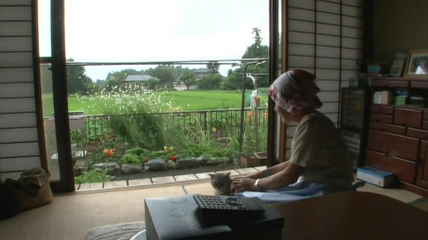 猫咪物语5剧照的剧照