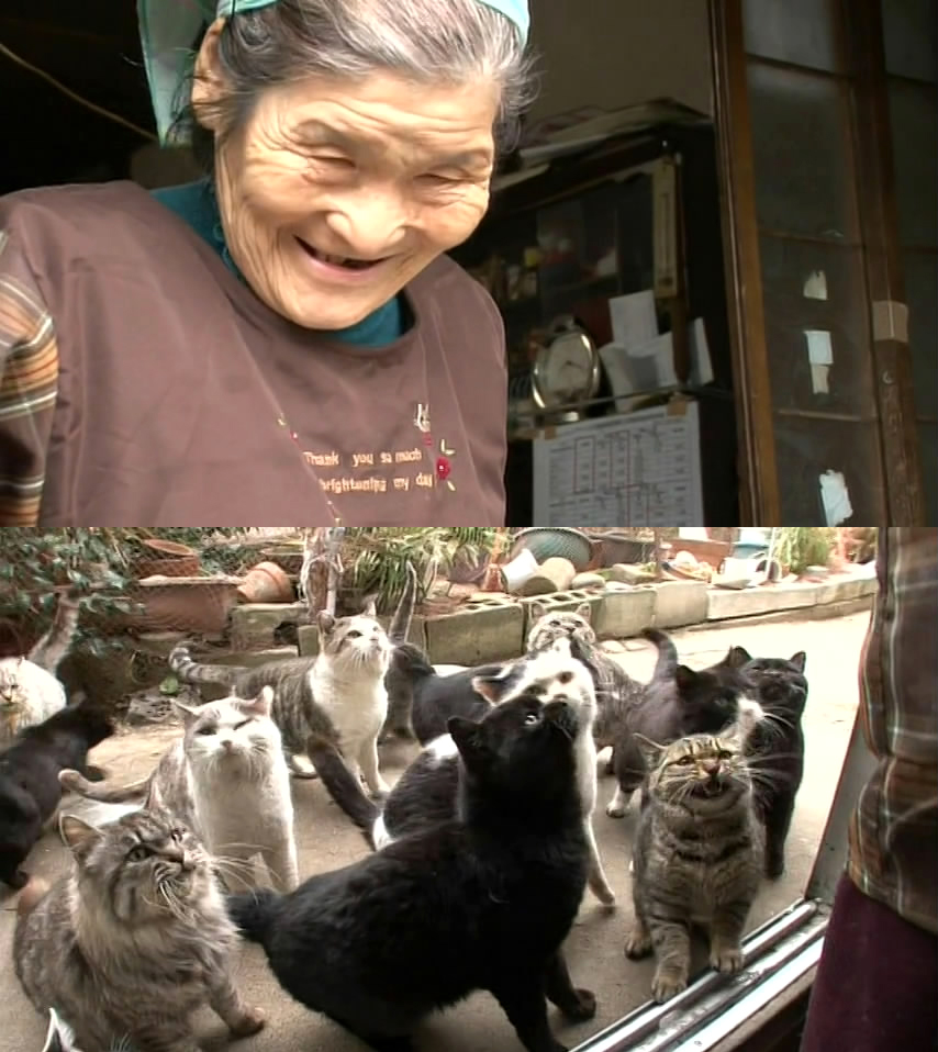 猫咪物语5剧照的剧照