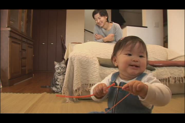 猫咪物语4剧照的剧照