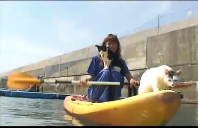 猫咪物语4剧照的剧照