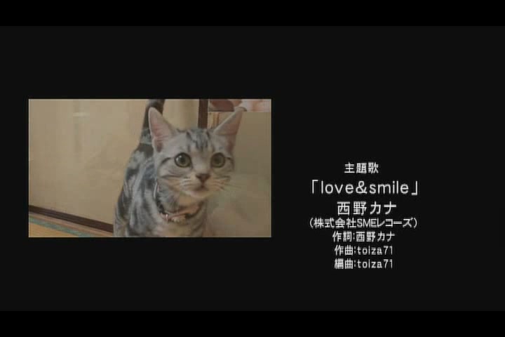 猫咪物语4剧照的剧照