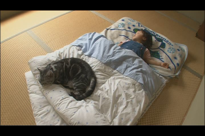 猫咪物语4剧照的剧照