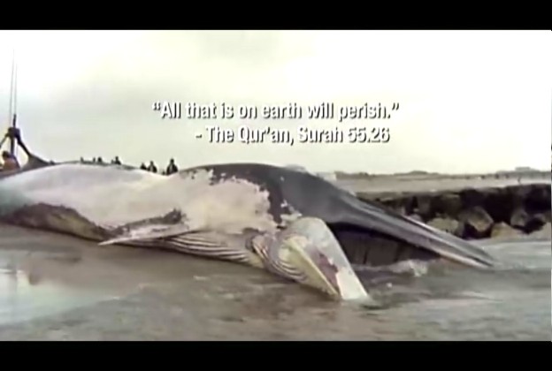 宗教的荒谬剧照的剧照