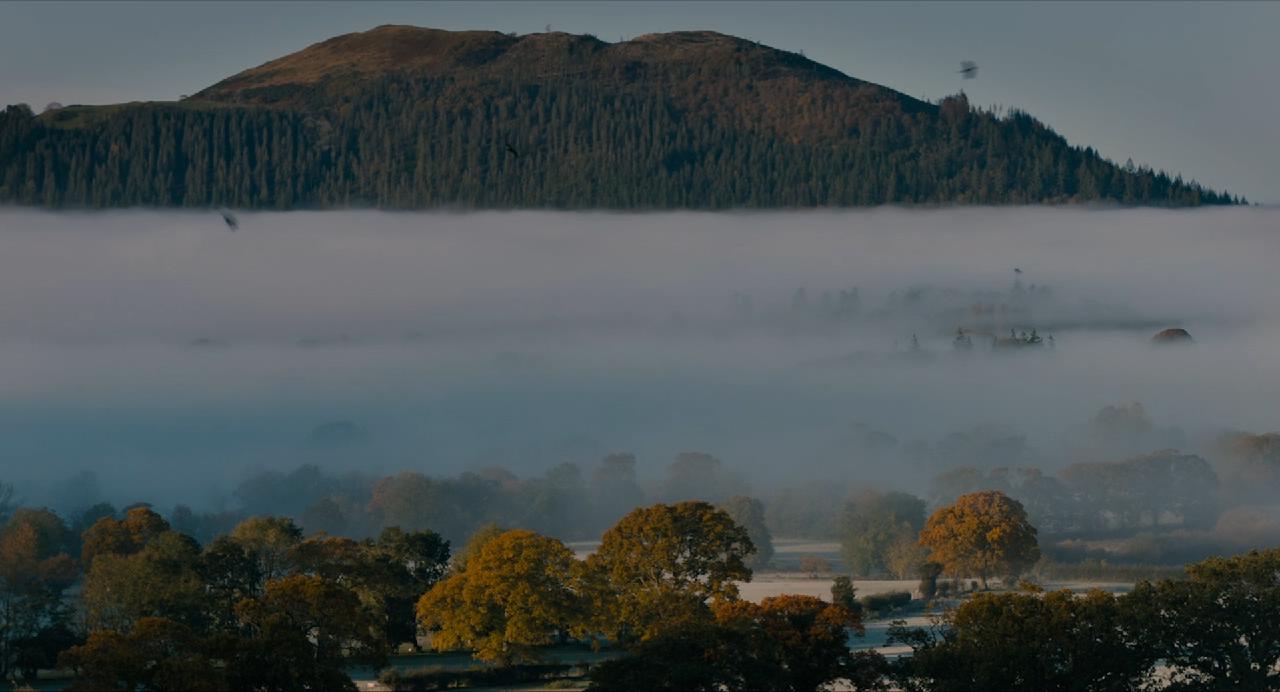 超新星剧照的剧照