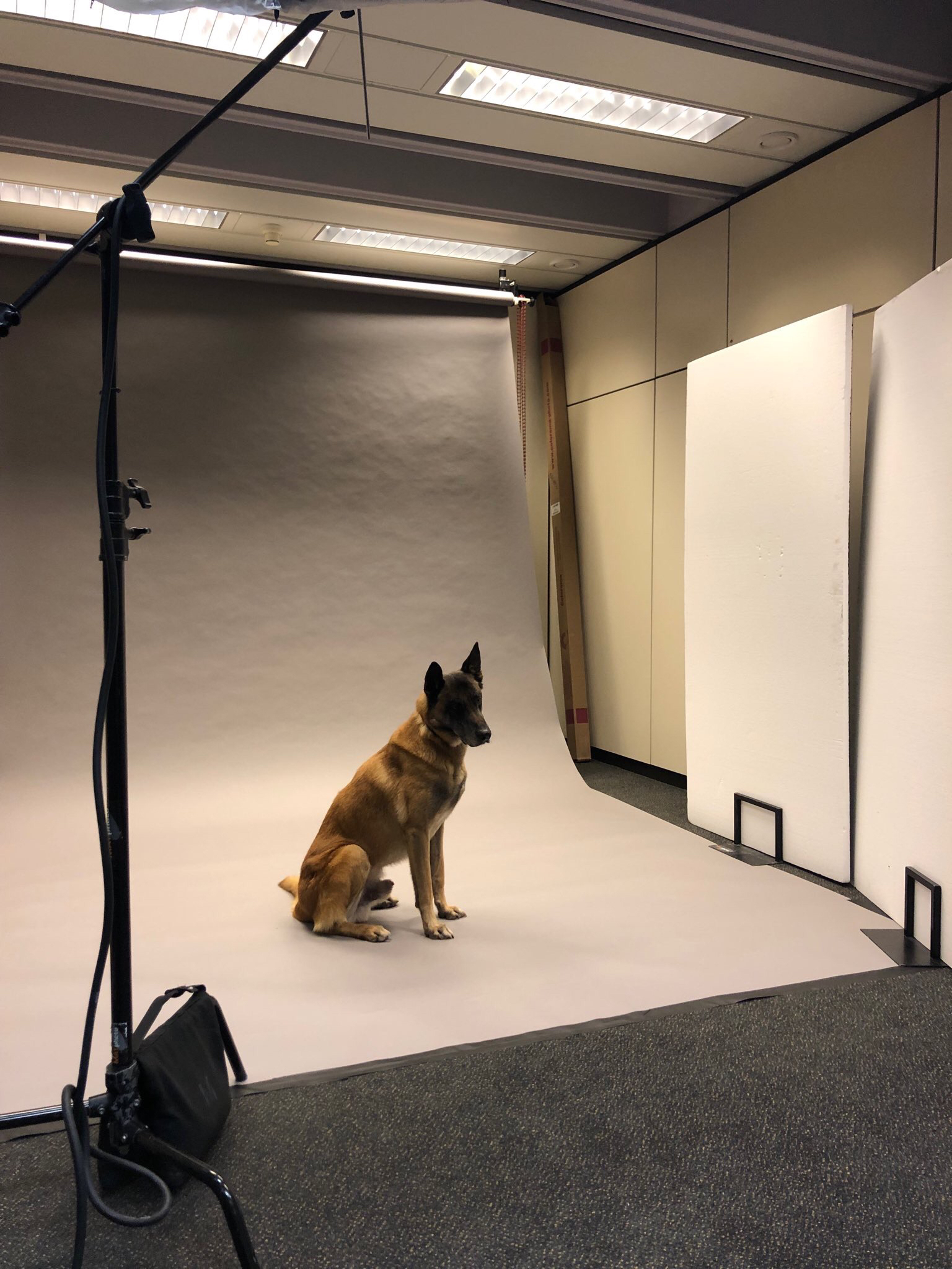 毒贩大妈剧照的剧照