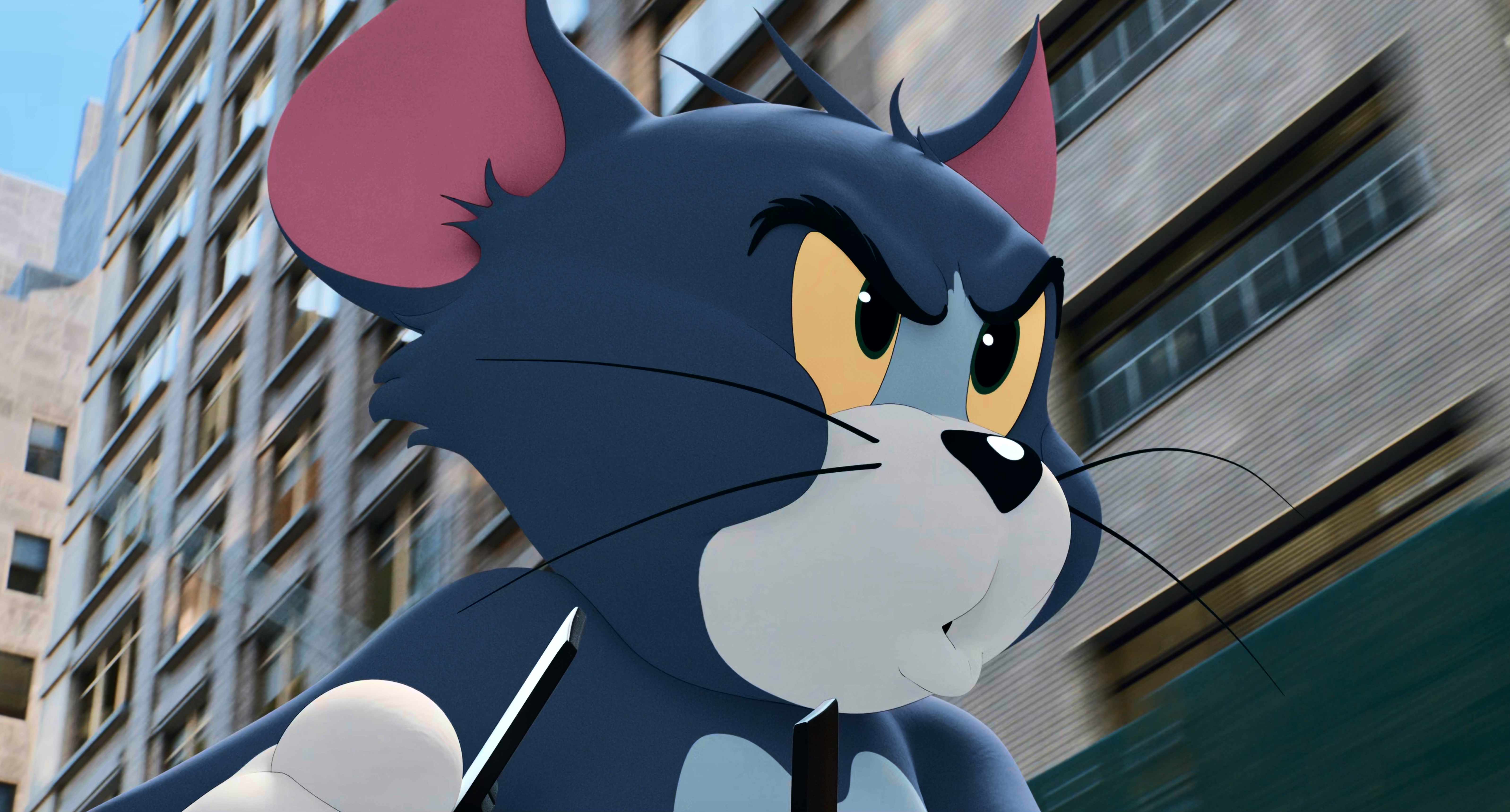 猫和老鼠剧照的剧照