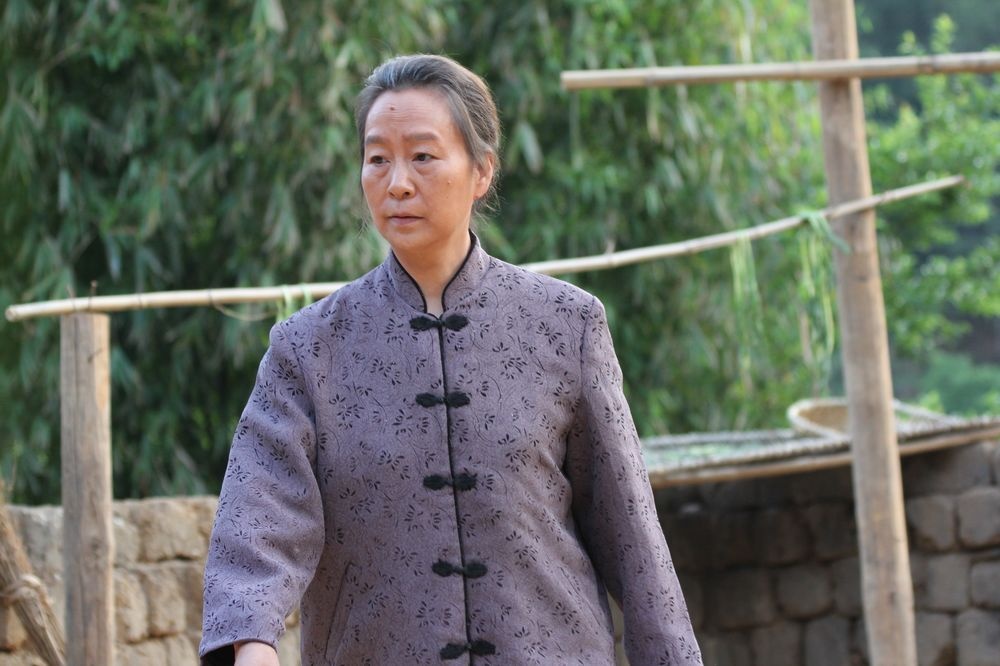 杨善洲剧照的剧照