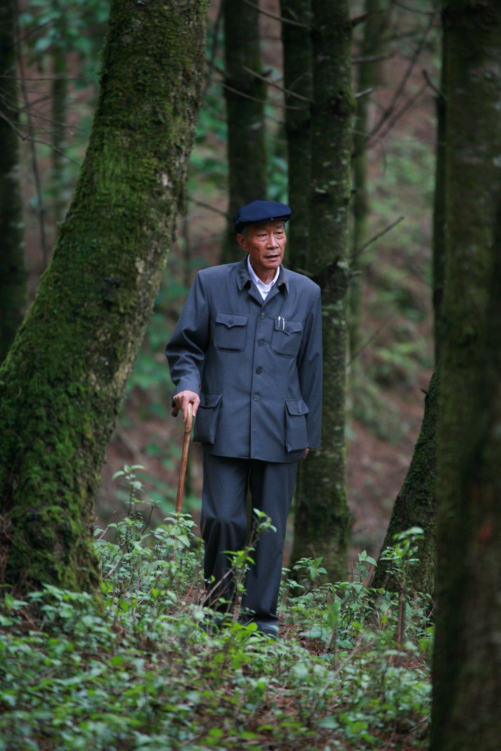 杨善洲剧照的剧照