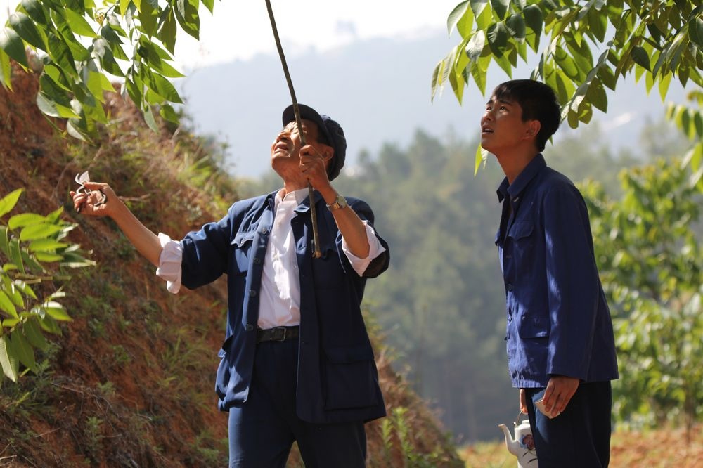 杨善洲剧照的剧照