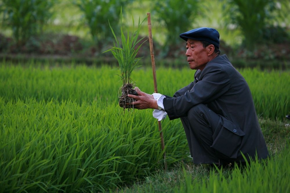 杨善洲剧照的剧照