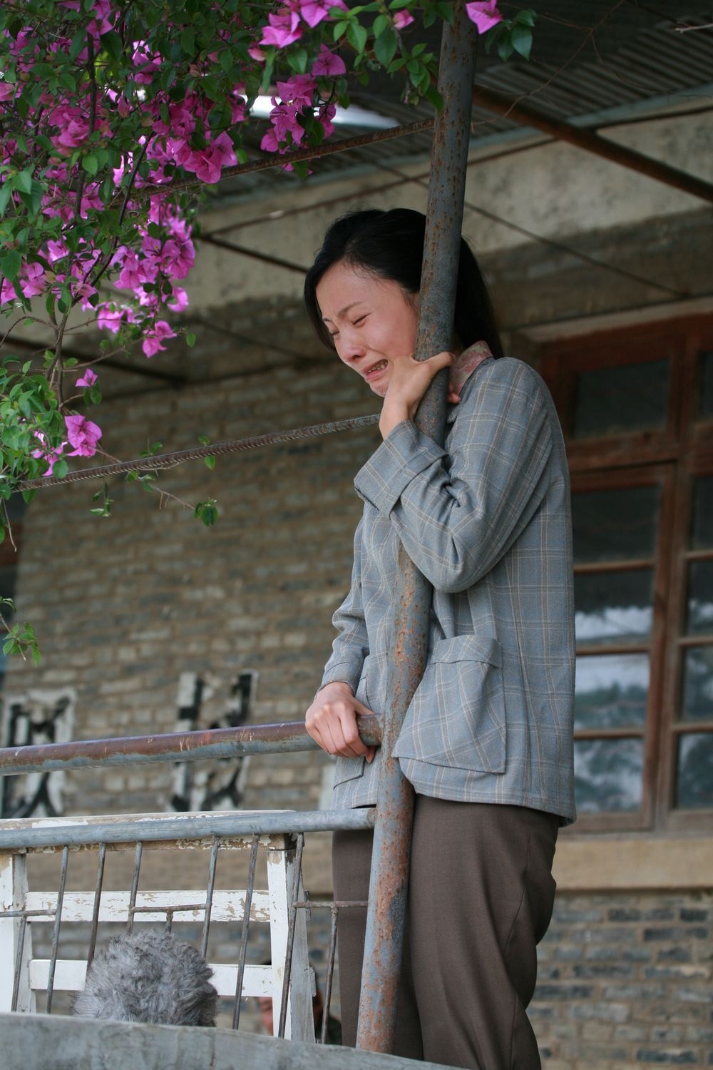 杨善洲剧照的剧照