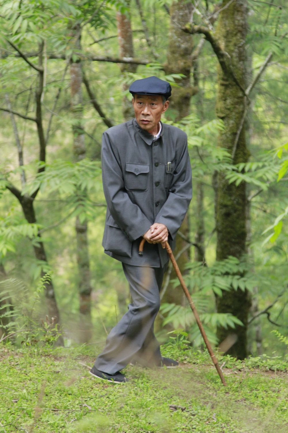 杨善洲剧照的剧照