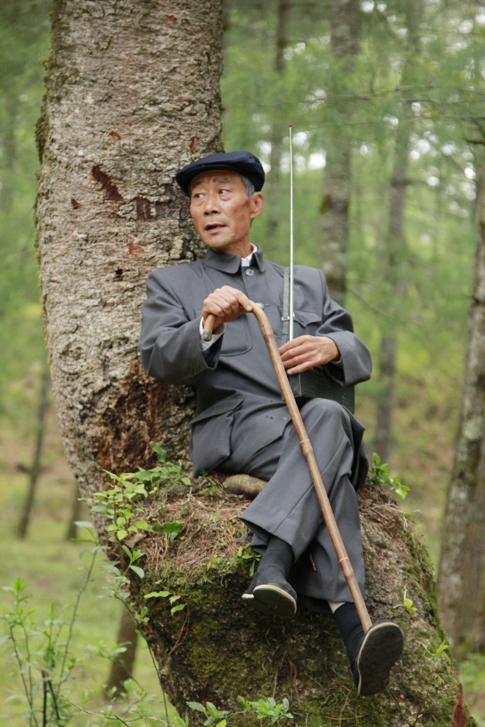 杨善洲剧照的剧照