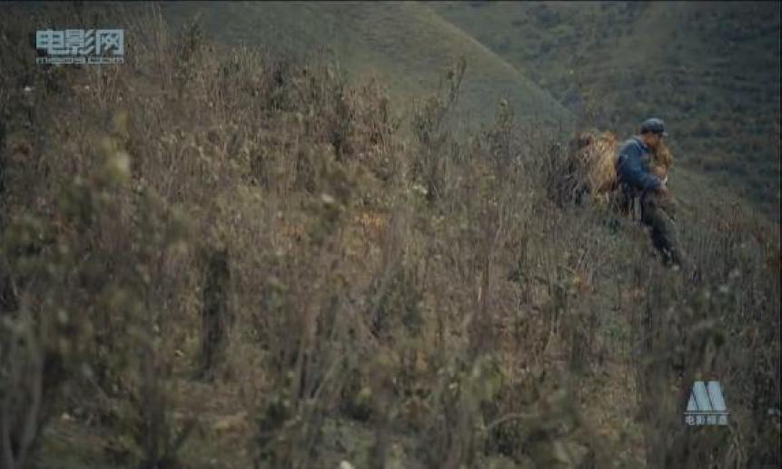 杨善洲剧照的剧照