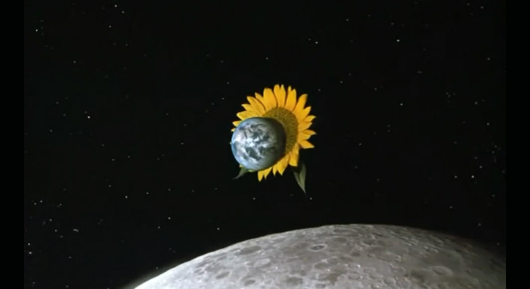 茶之味剧照的剧照