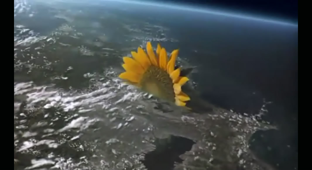 茶之味剧照的剧照