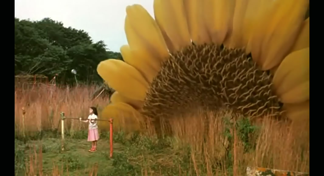 茶之味剧照的剧照