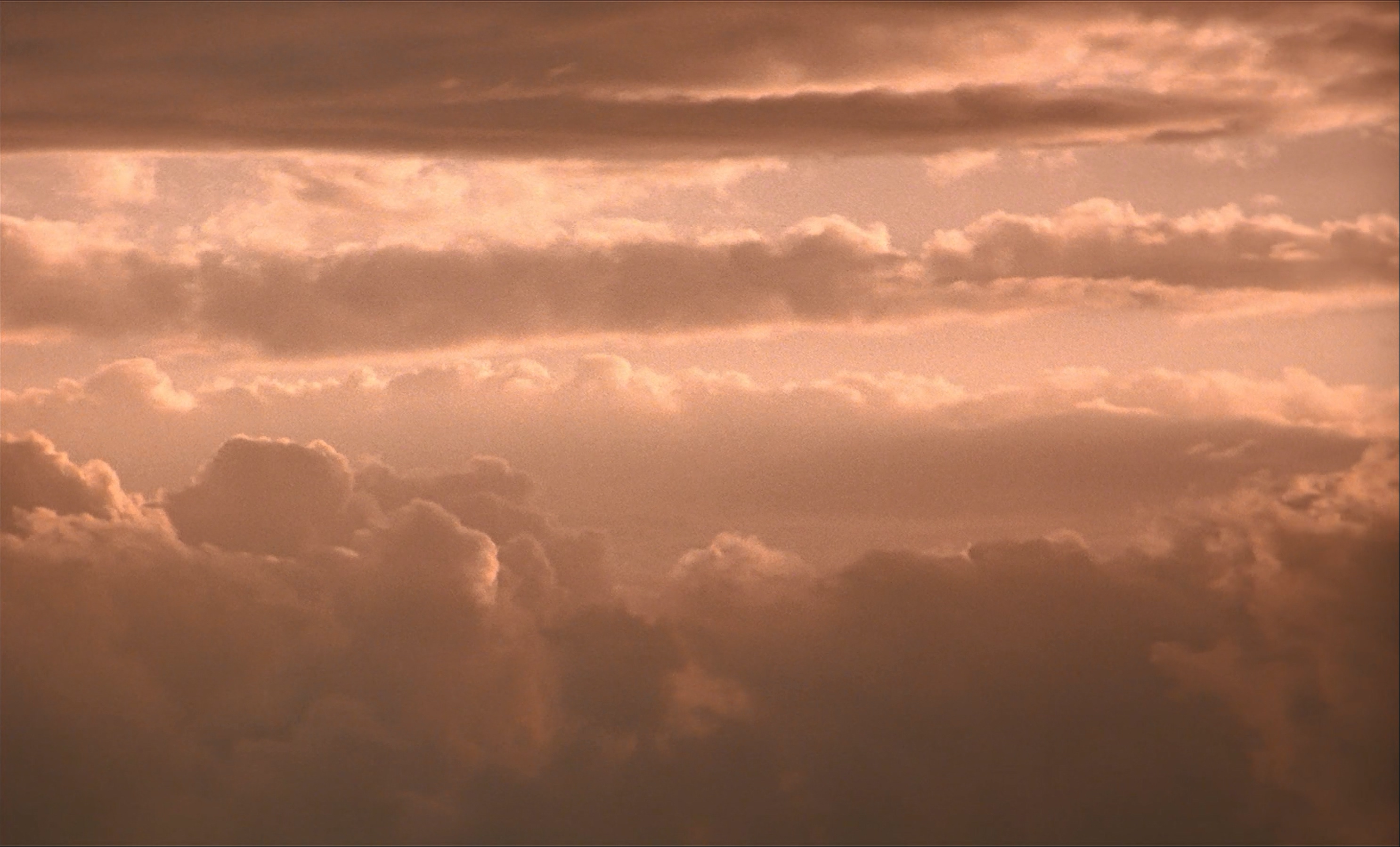 茶之味剧照的剧照