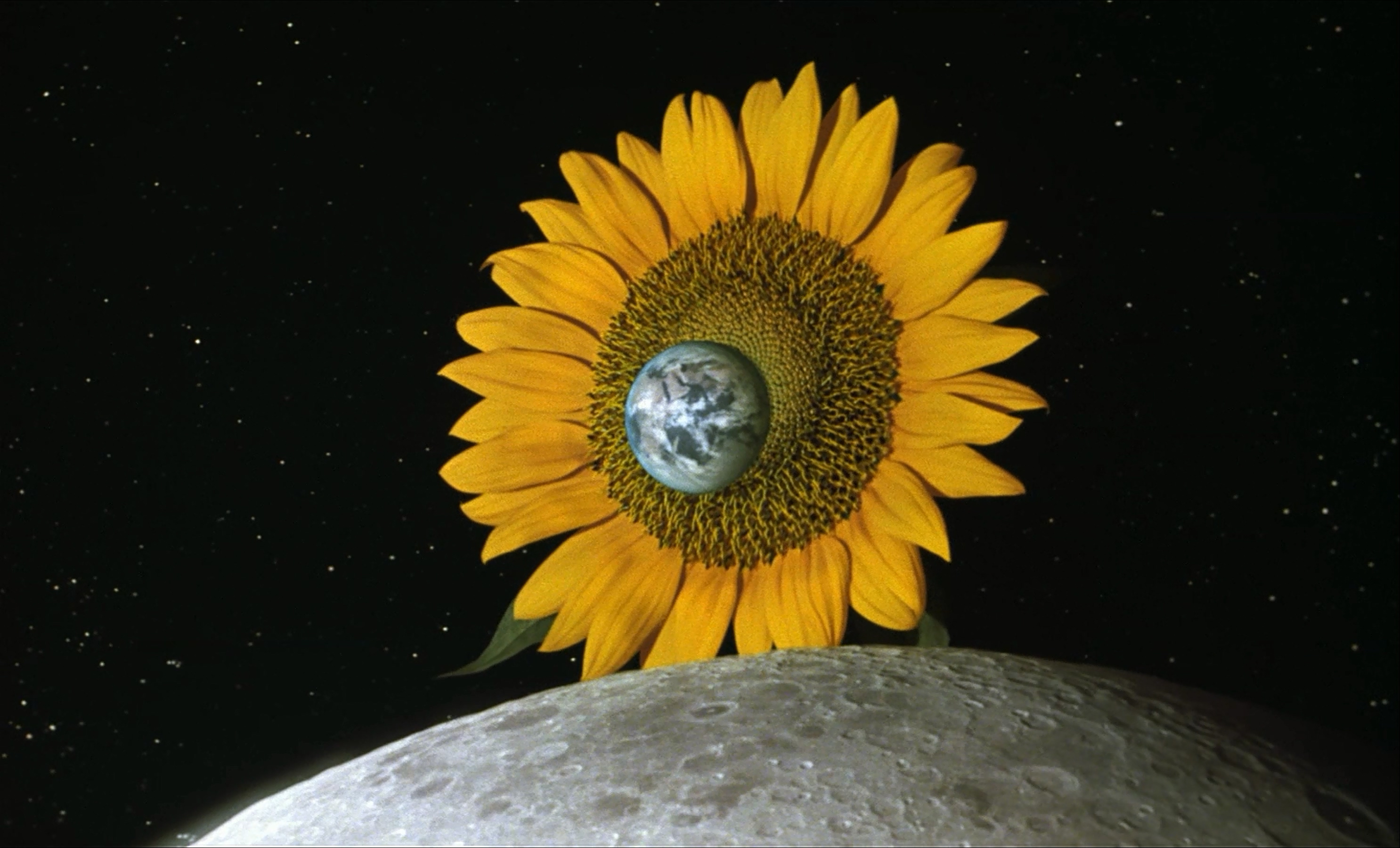 茶之味剧照的剧照