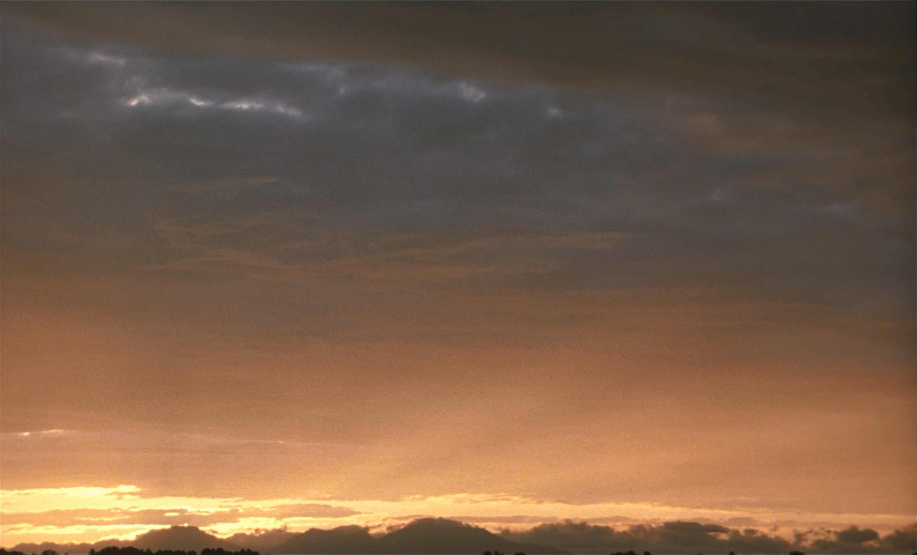 茶之味剧照的剧照