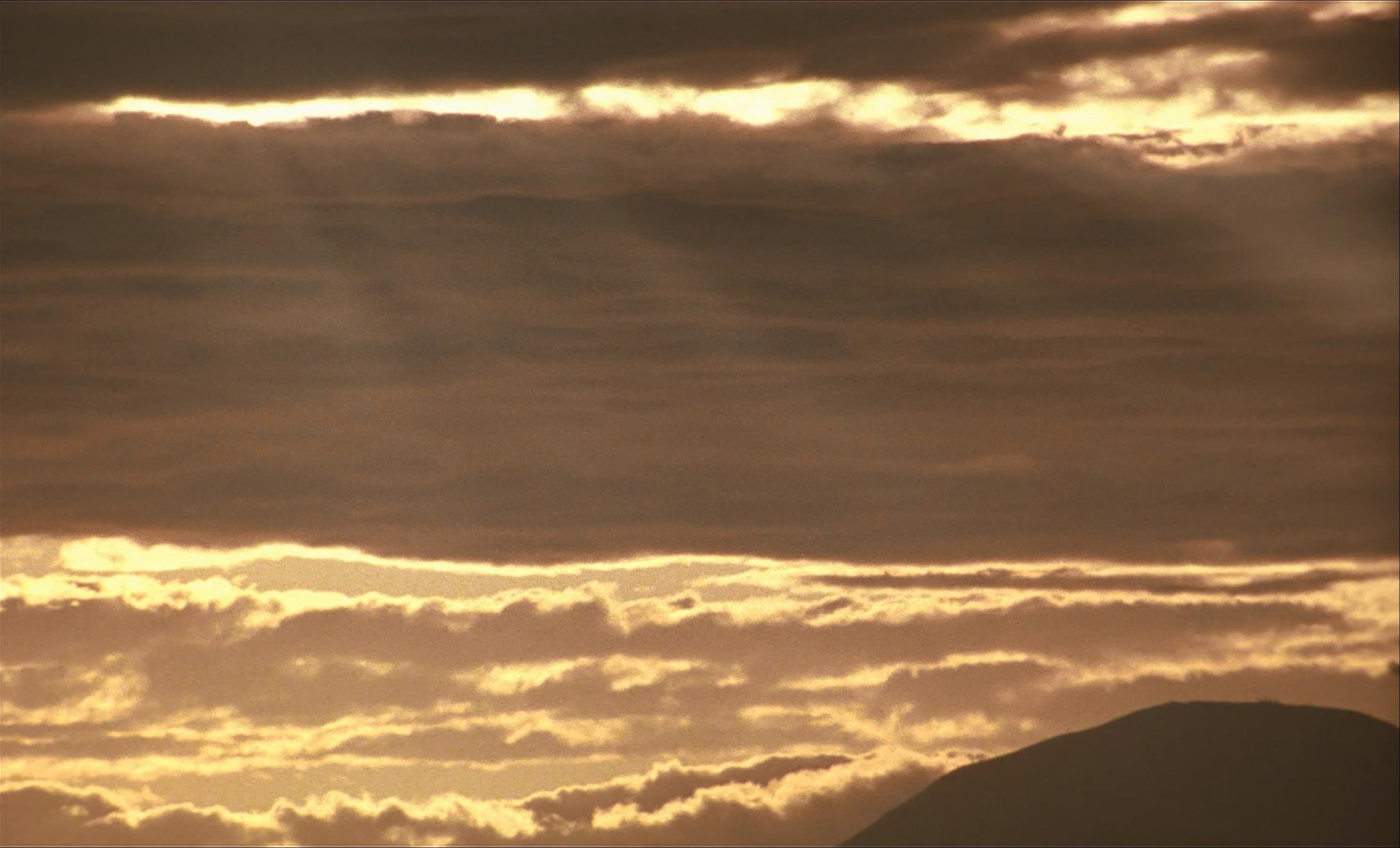 茶之味剧照的剧照