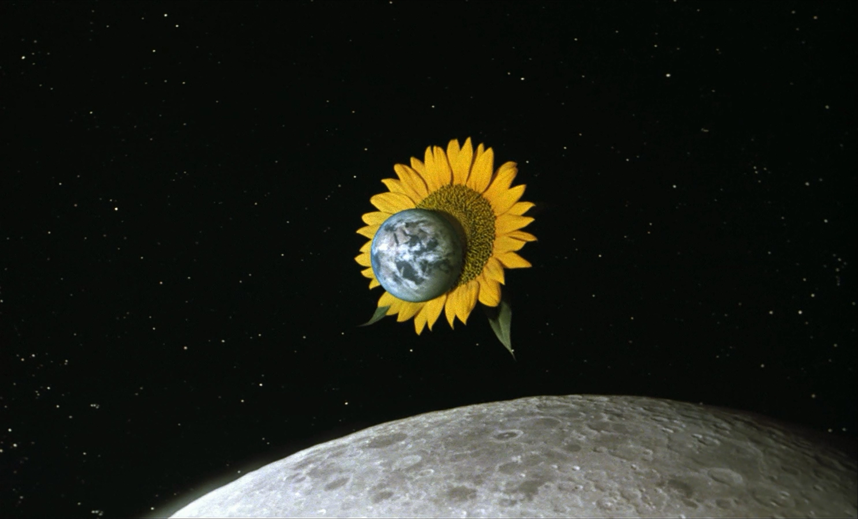 茶之味剧照的剧照