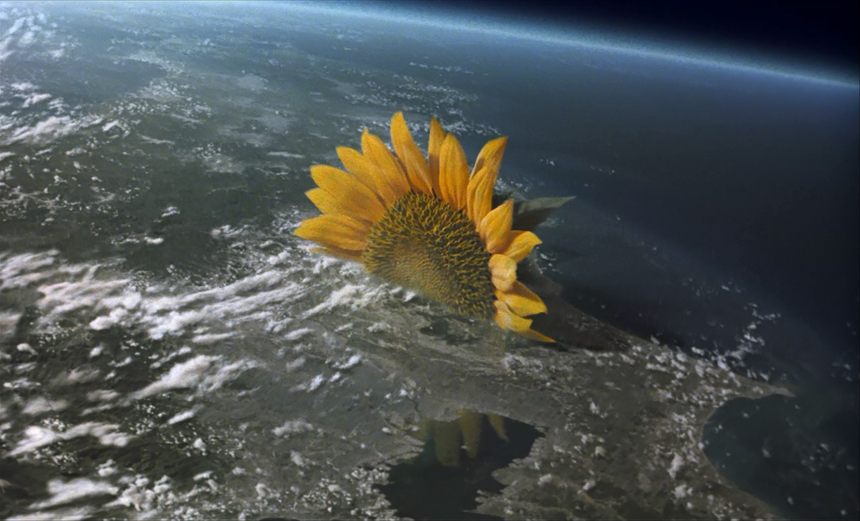 茶之味剧照的剧照