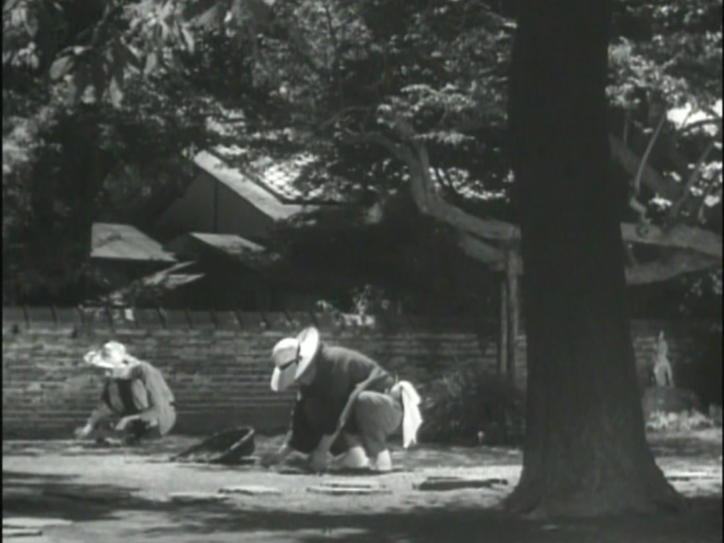 茶泡饭之味剧照的剧照