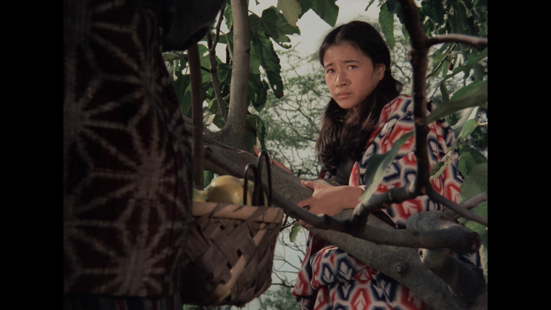 大地摇篮曲剧照的剧照