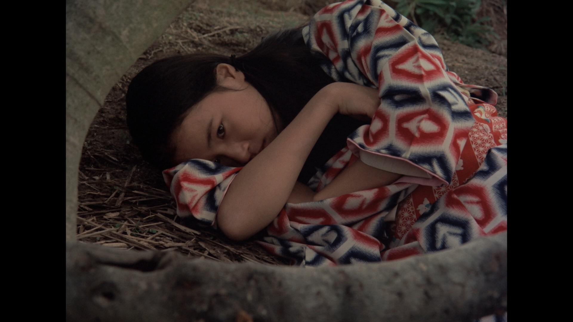 大地摇篮曲剧照的剧照