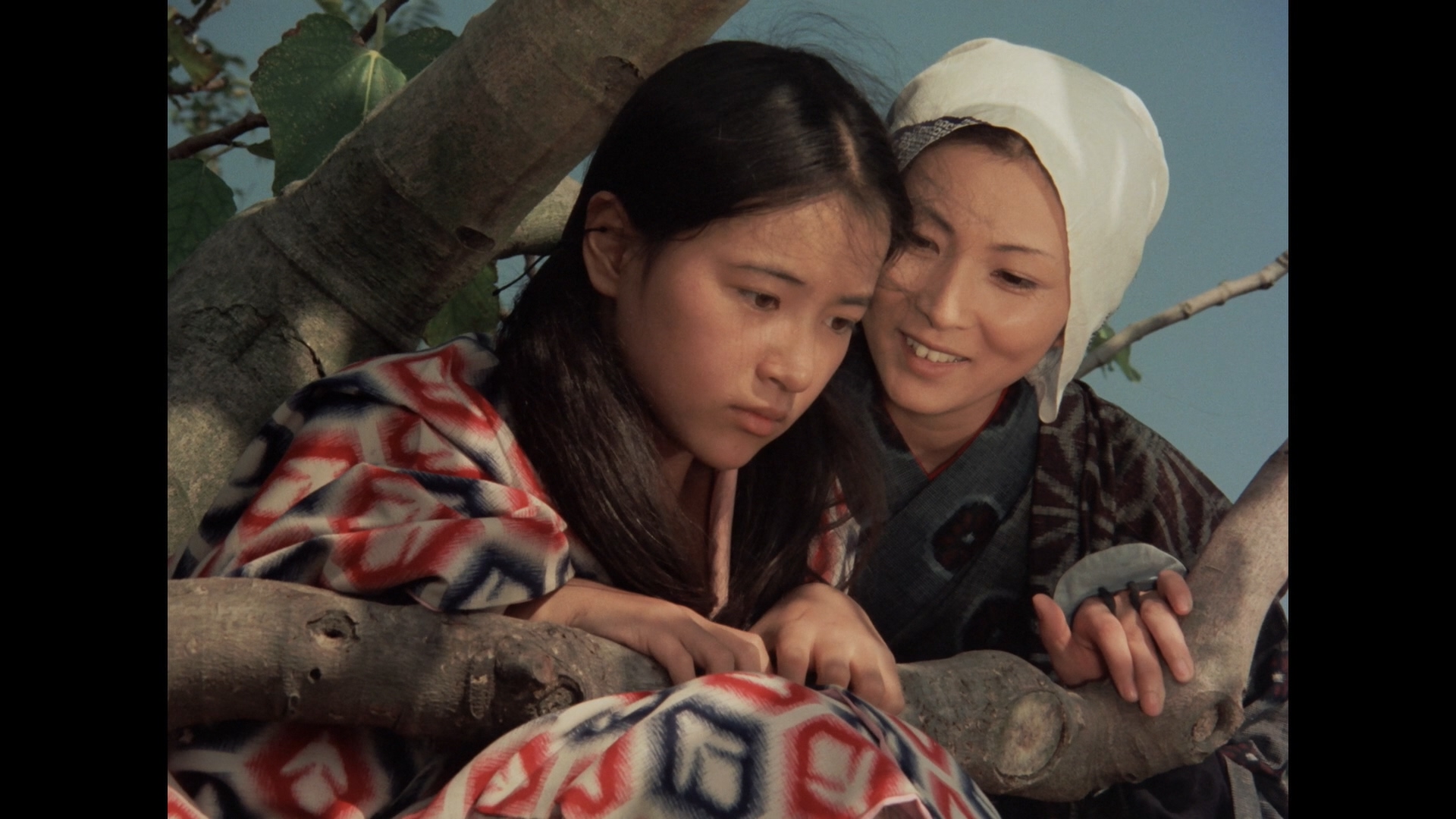 大地摇篮曲剧照的剧照