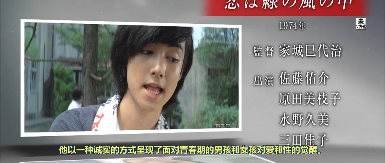 绿风中的爱恋剧照的剧照