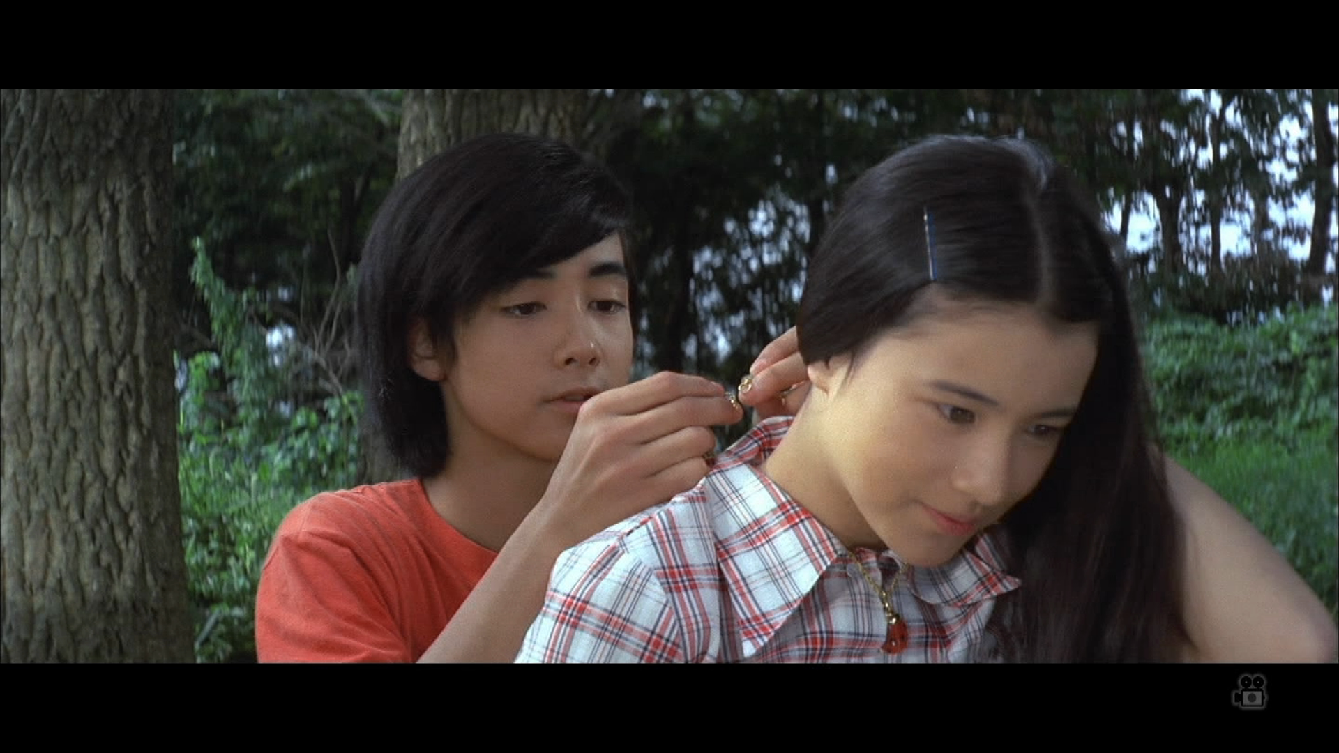 绿风中的爱恋剧照的剧照