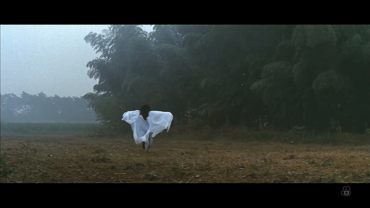 绿风中的爱恋剧照的剧照